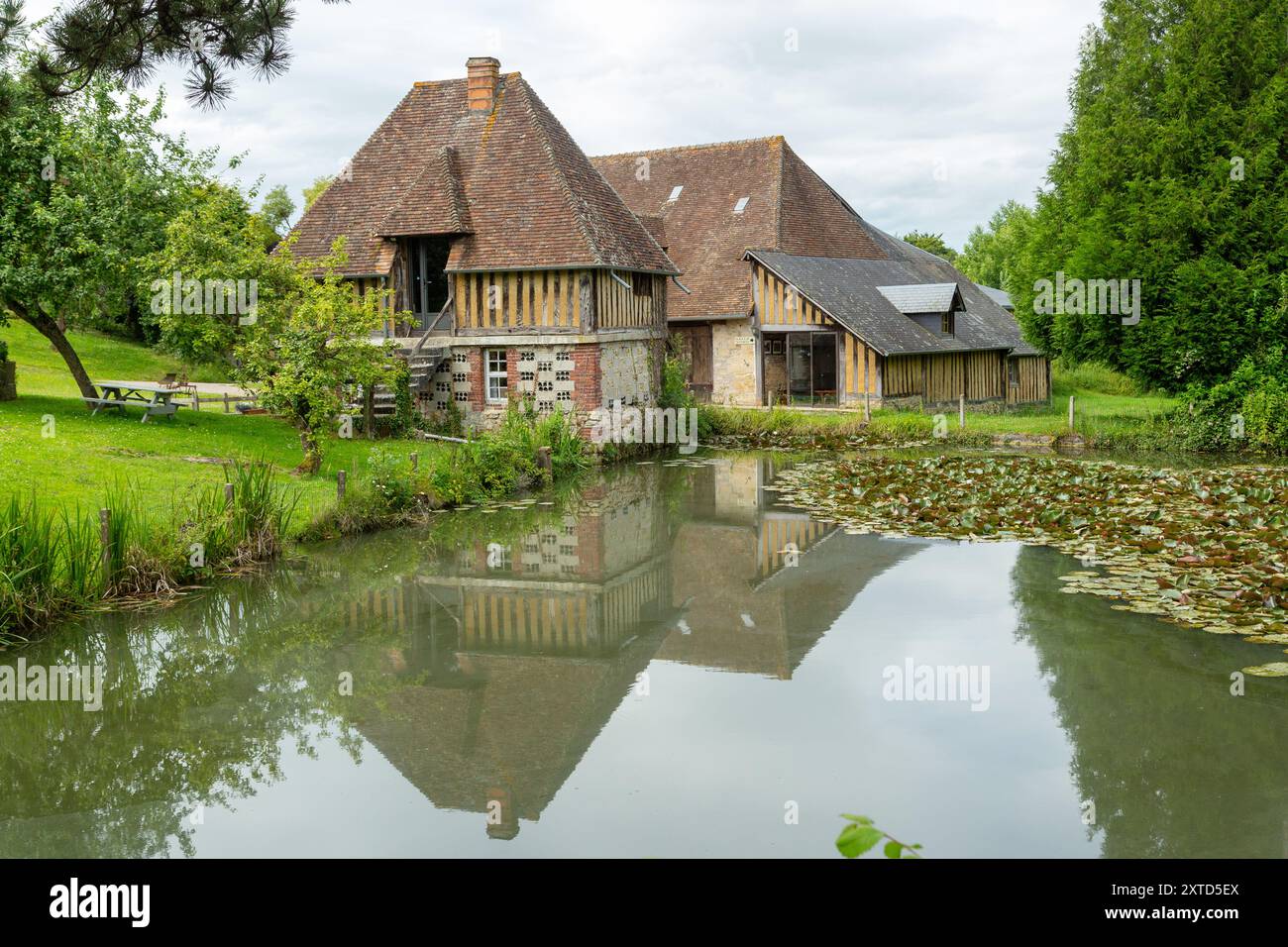 Manoir de Grandouet ein französischer Apfelwein- und Calvados-Bauernhof in der Nähe von Cambremer, Pays d’Auge, Normandie, Frankreich Stockfoto