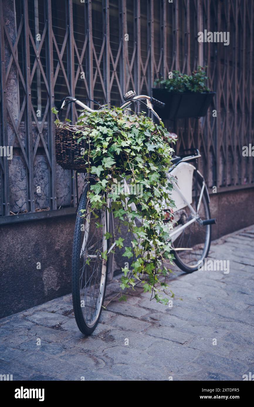 Altes Fahrrad, das im Retro-Stil an der Wand liegt Stockfoto