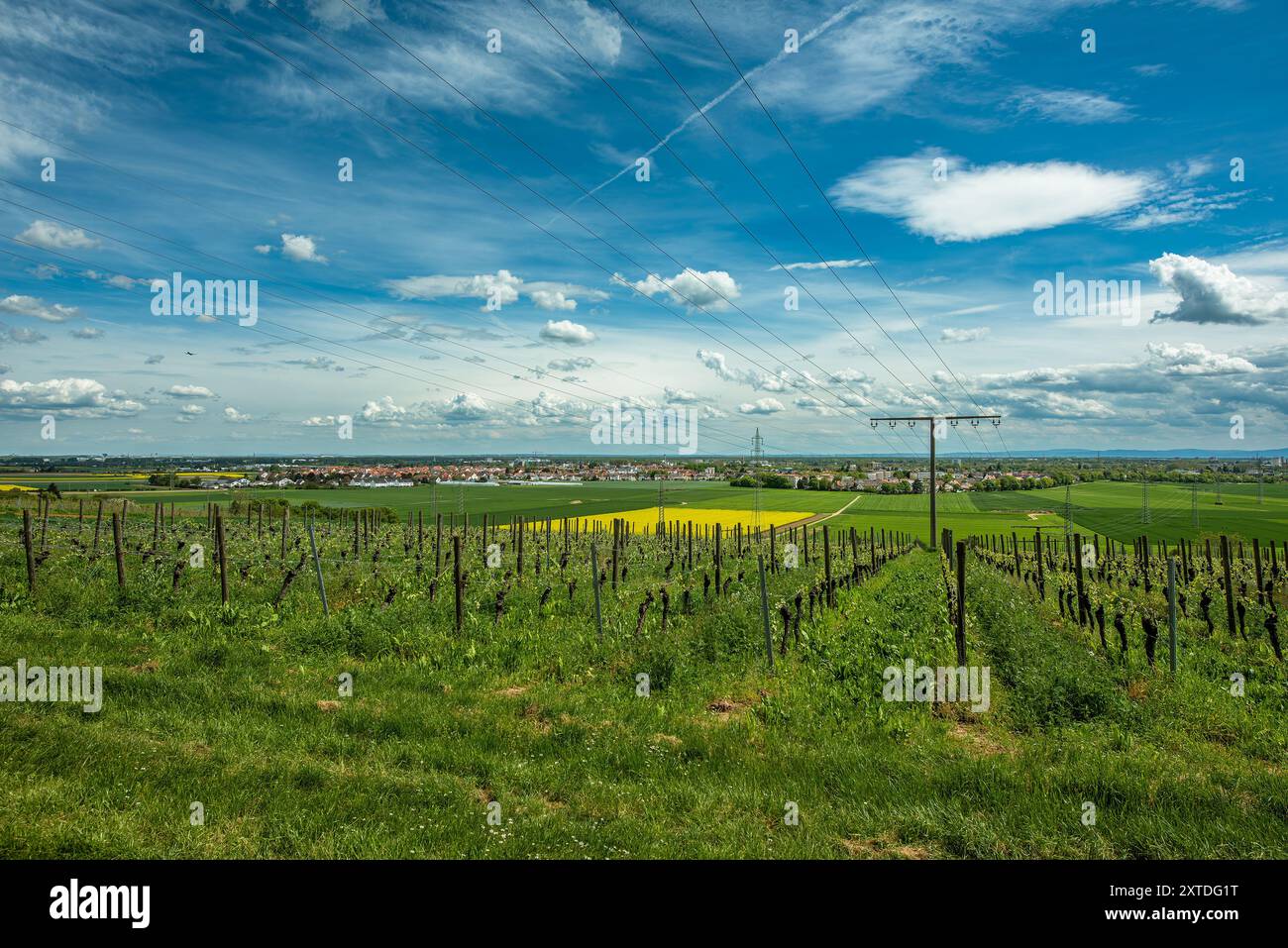 Blick von der Florsheimer Warte auf die Rhein-Main-Ebene, Hessen, Deutschland Stockfoto