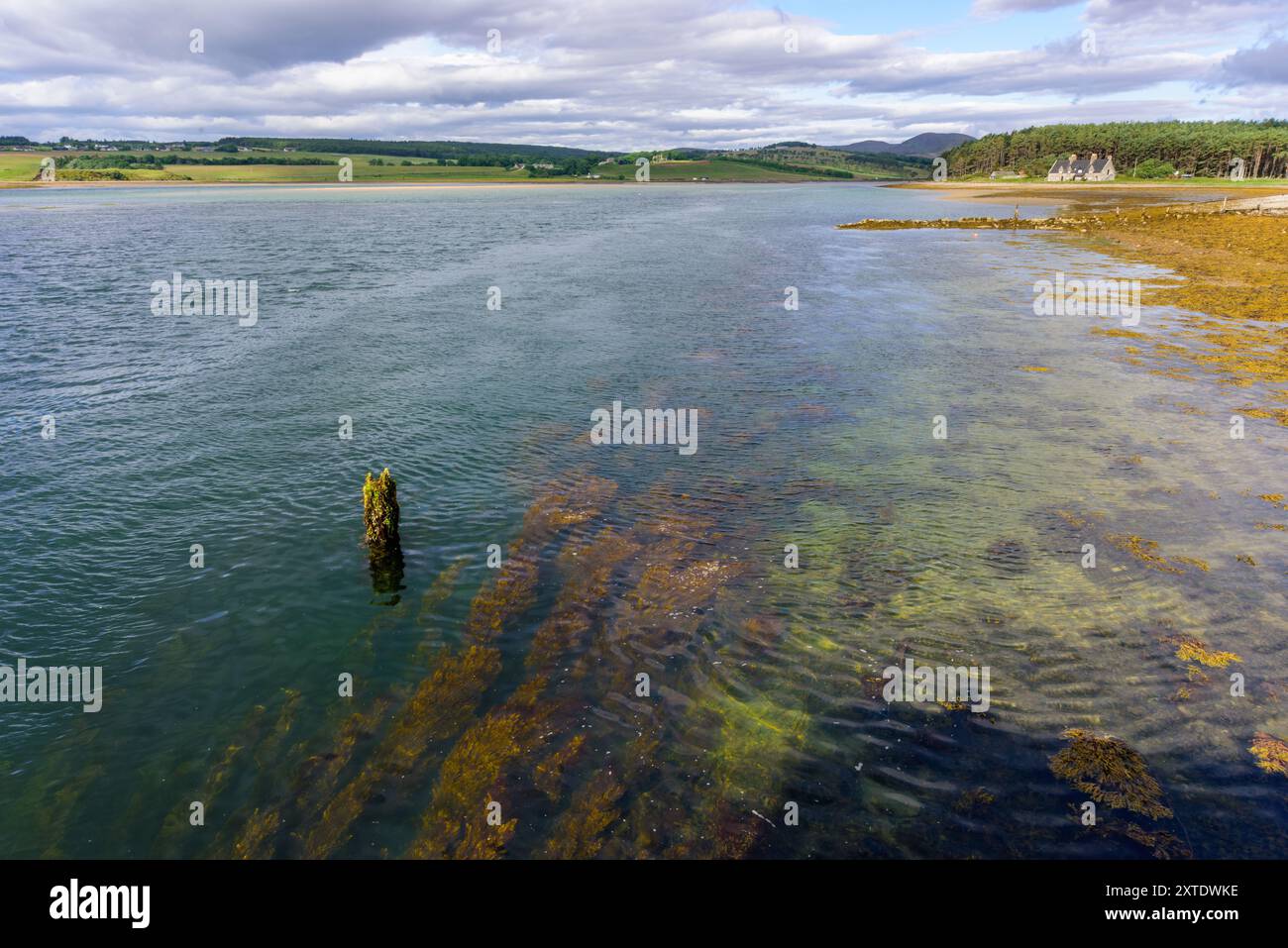 Loch Fleet zeigt klares Wasser und farbenfrohe Algen unter einem bewölkten Himmel, was die natürliche Schönheit dieser schottischen Landschaft unterstreicht. Stockfoto