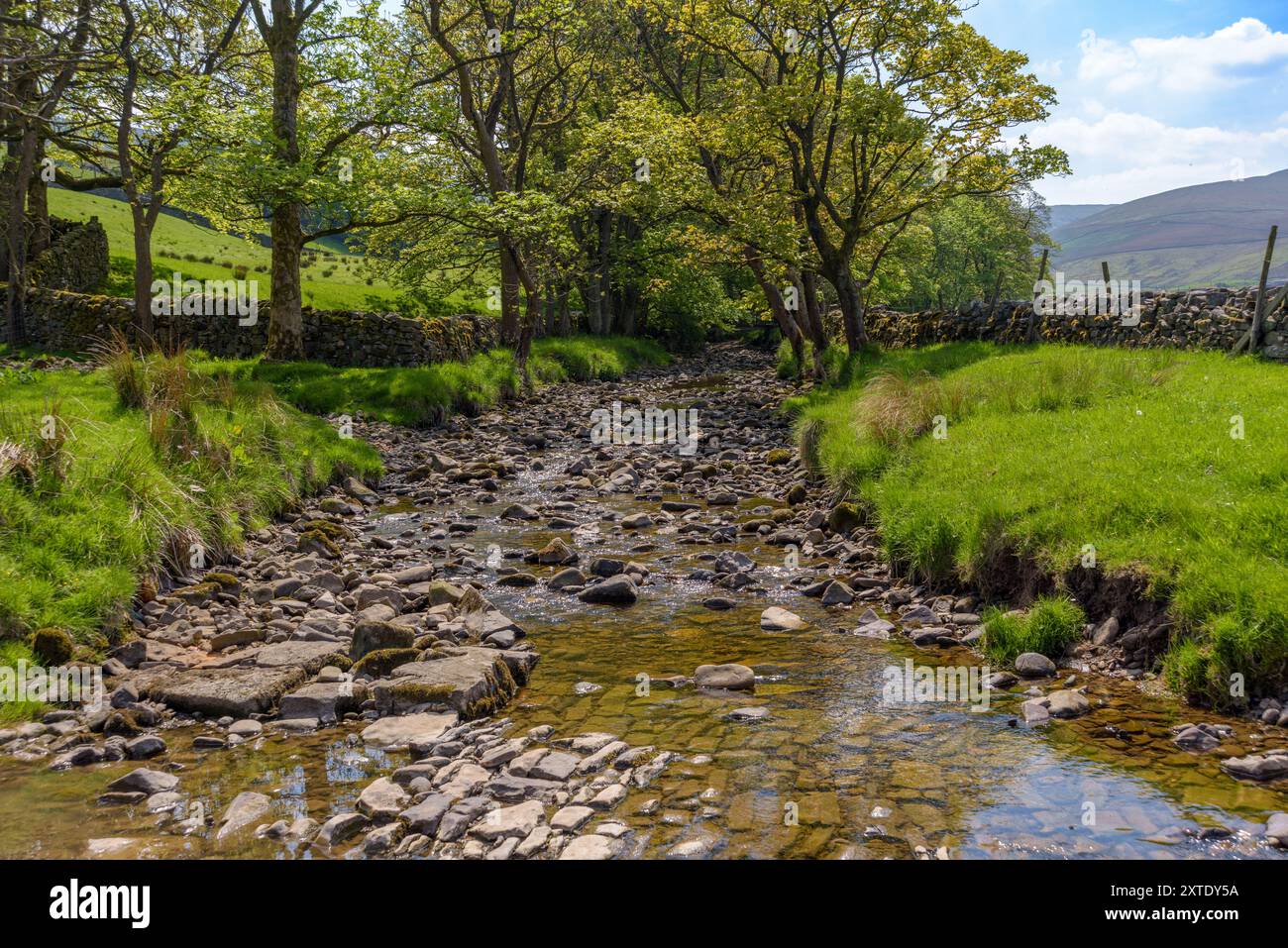 Ein ruhiger Bach fließt über die Steine einer alten ford und überquert Gayle Beck, umgeben von üppigem Grün und Bäumen in der Landschaft der Yorkshire Dales. Stockfoto