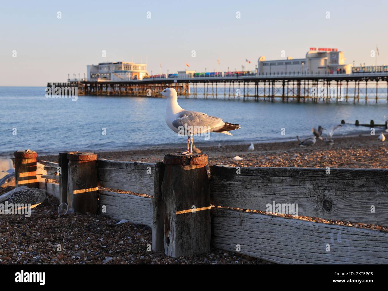Worthing Pier vom Strand aus an einem sonnigen Sommertag in West Sussex, Großbritannien Stockfoto