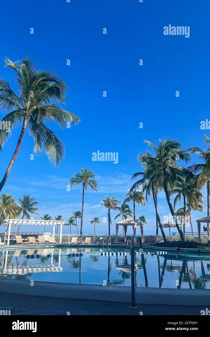Die vertikale Aufnahme zeigt Palmen, die einen luxuriösen Hotelpool säumen, vor einem kobaltblauen Himmel auf ft. Lauderdale Beach. Stockfoto