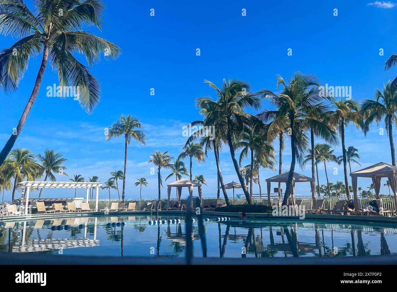 Palmen säumen einen luxuriösen Hotelpool, der vor einem kobaltblauen Himmel auf ft. Lauderdale Beach. Stockfoto