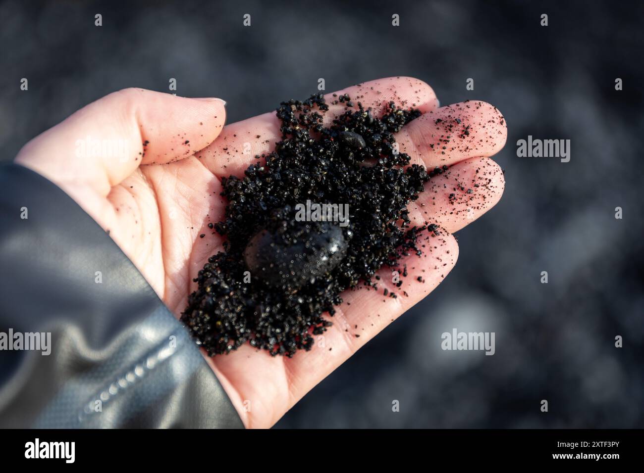 Frauenhand mit schwarzem Sand und Basaltstein vom Reynisfjara Black Sand Beach, Island Stockfoto