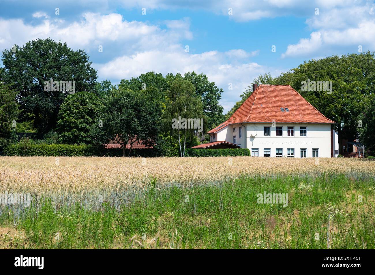 Cloppenburg, Niedersachsen, Deutschland, 15. Juni 2024 - altes Gewerbehaus Anton Hoffhaus, heute Landhaus umgeben von landwirtschaftlichen Feldern Stockfoto