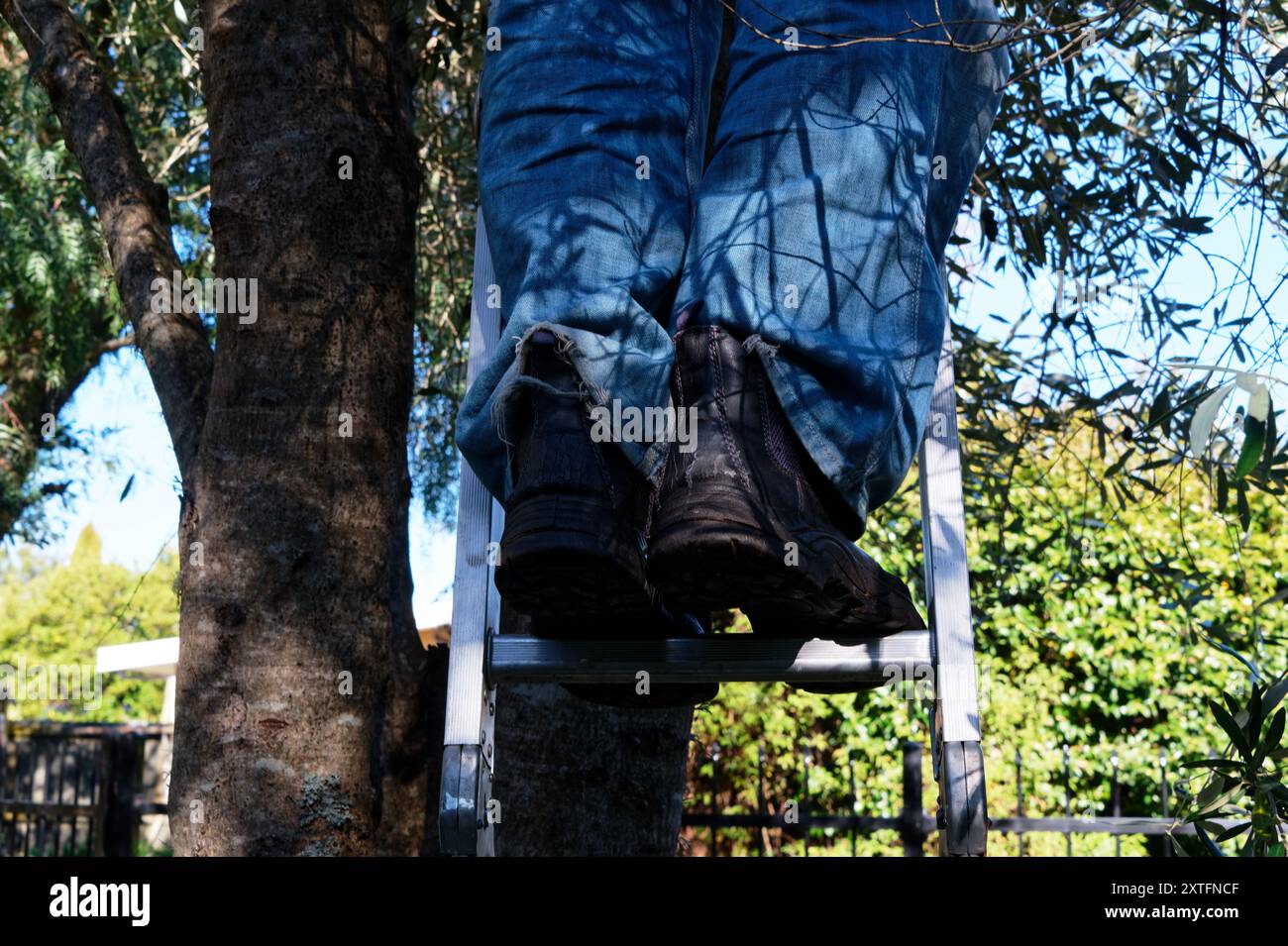 Ein Mann trägt blaue Jeans und Arbeitsstiefel, während er eine Stahlleiter hinaufarbeitet. Stockfoto