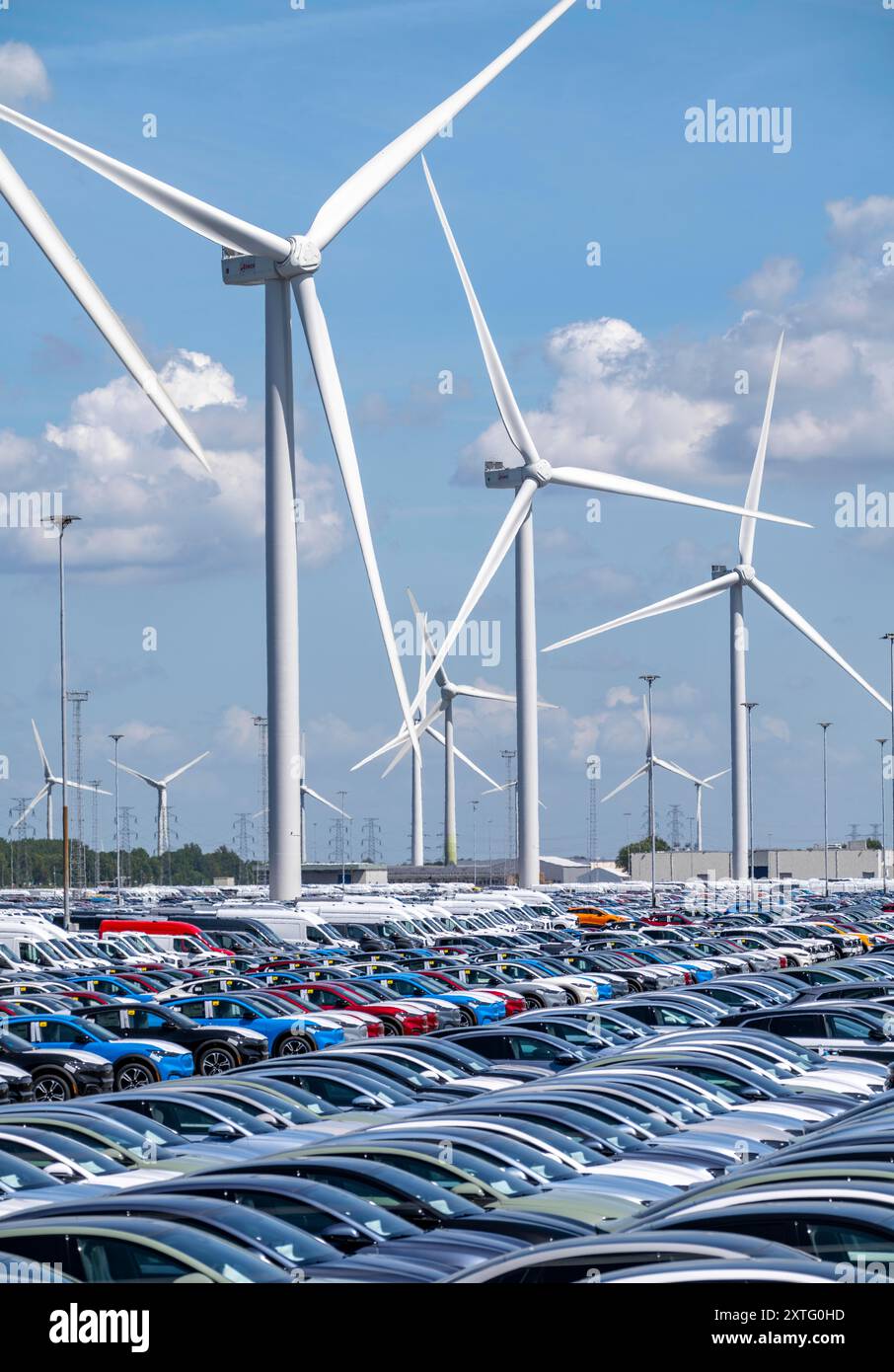 Lagerfläche für Neuwagen im Hafen von Vlissingen-Oost werden Fahrzeuge vorübergehend auf über 100 Hektar gelagert, um sie von Europa nach Großbritannien zu transportieren Stockfoto