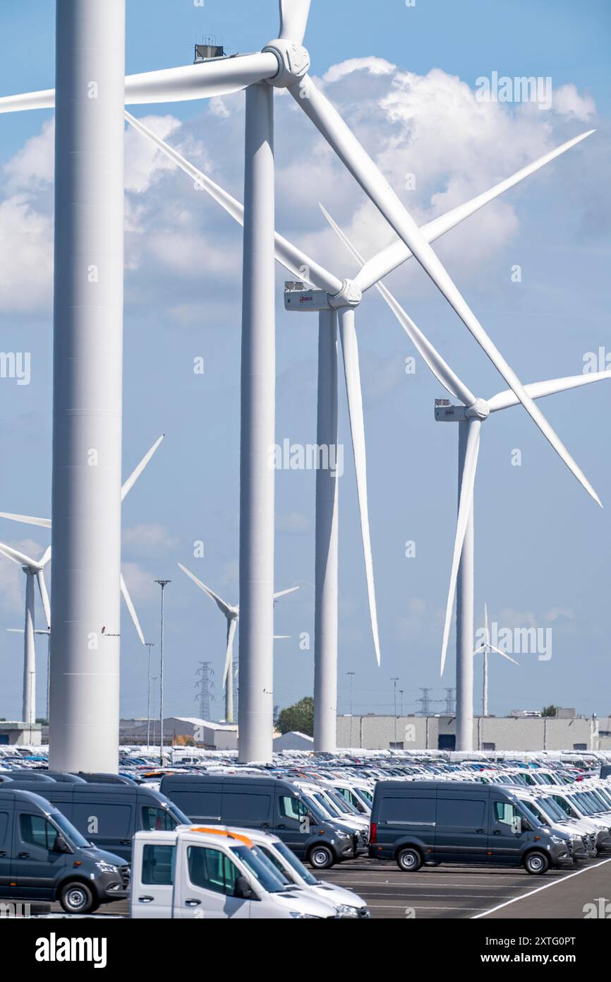 Lagerfläche für Neuwagen im Hafen von Vlissingen-Oost werden Fahrzeuge vorübergehend auf über 100 Hektar gelagert, um sie von Europa nach Großbritannien zu transportieren Stockfoto