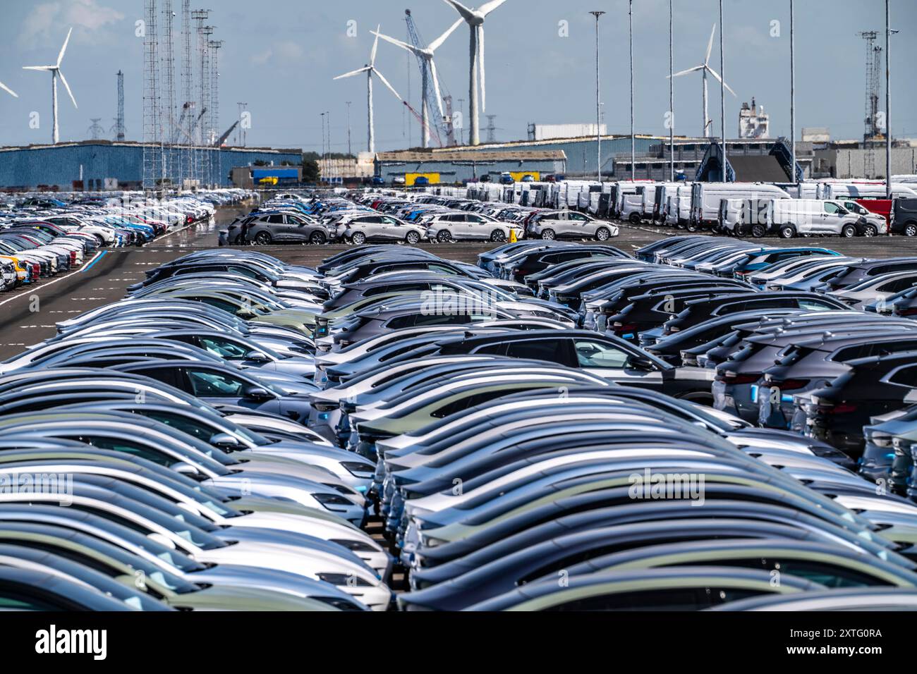 Lagerfläche für Neuwagen im Hafen von Vlissingen-Oost werden Fahrzeuge vorübergehend auf über 100 Hektar gelagert, um sie von Europa nach Großbritannien zu transportieren Stockfoto