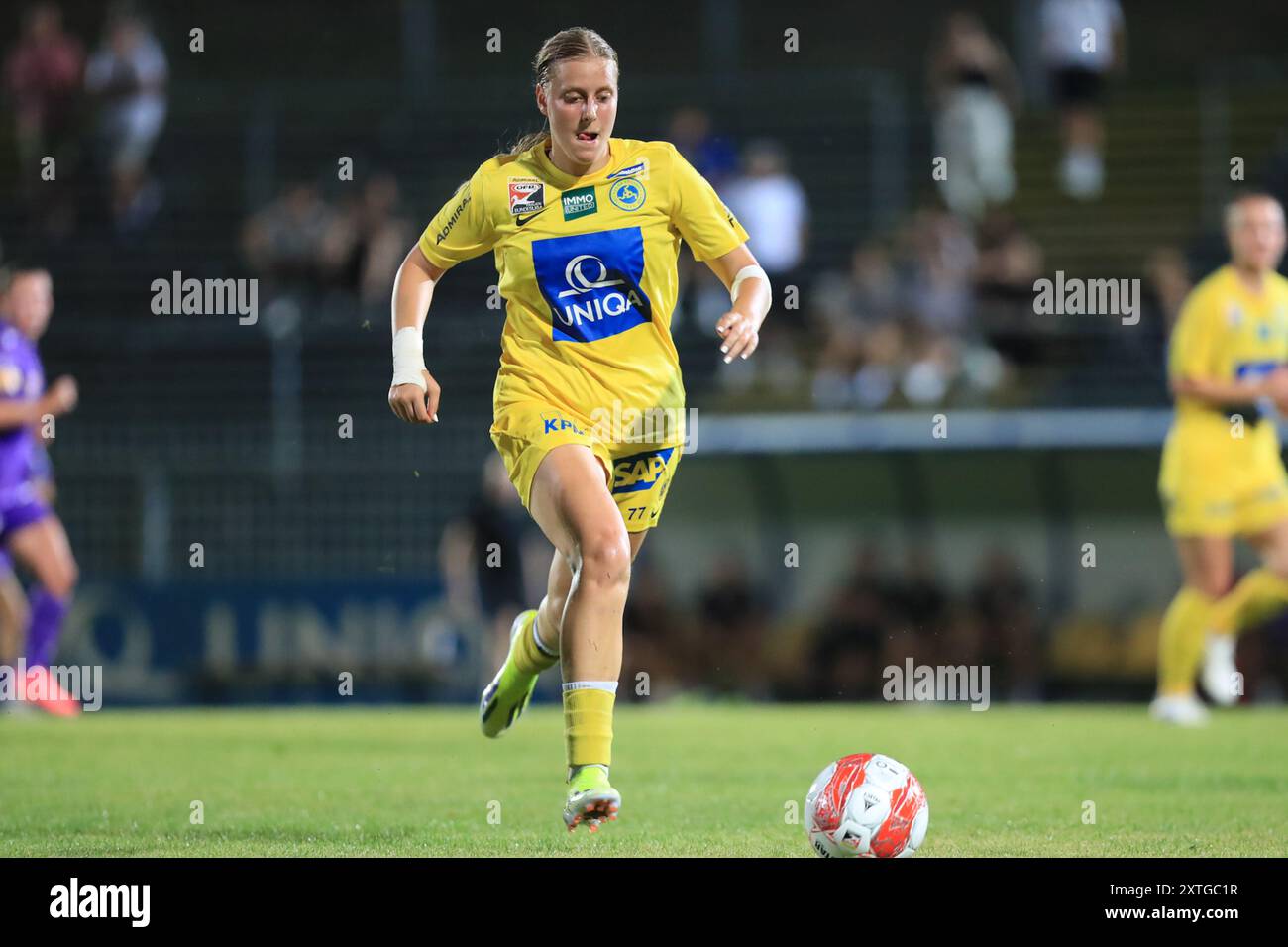 Wien, Österreich. August 2024. Wien, Österreich, 14. August 2024: Sarah Gutmann (77 erster Wiener FC) in Aktion während des Admiral Frauen Bundesliga Matches Wien gegen Österreich Wien Tom Seiss/SPP (Tom Seiss/SPP) Credit: SPP Sport Press Photo. /Alamy Live News Stockfoto
