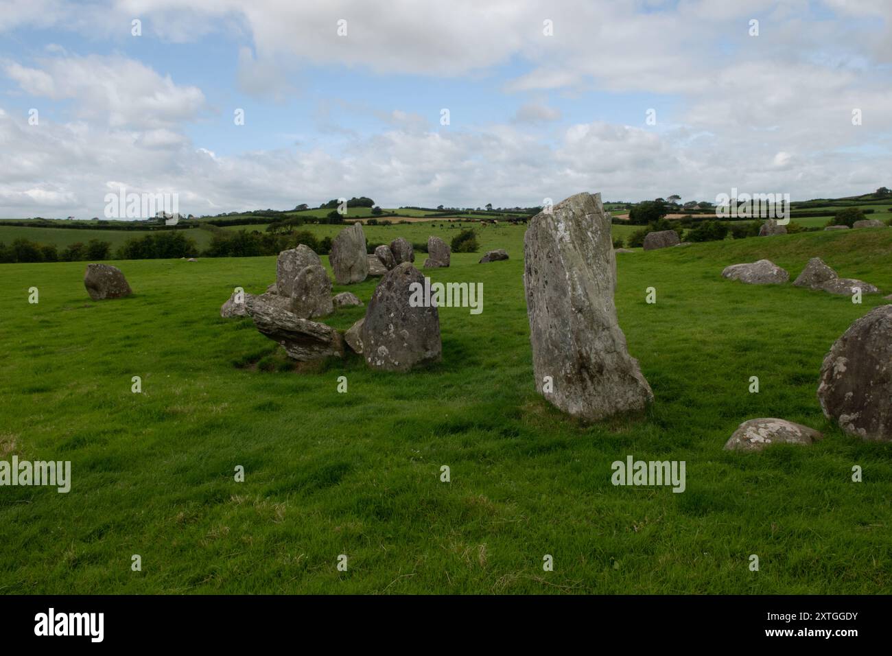 Ballynoe Stone Circle, County Down, Nordirland Stockfoto