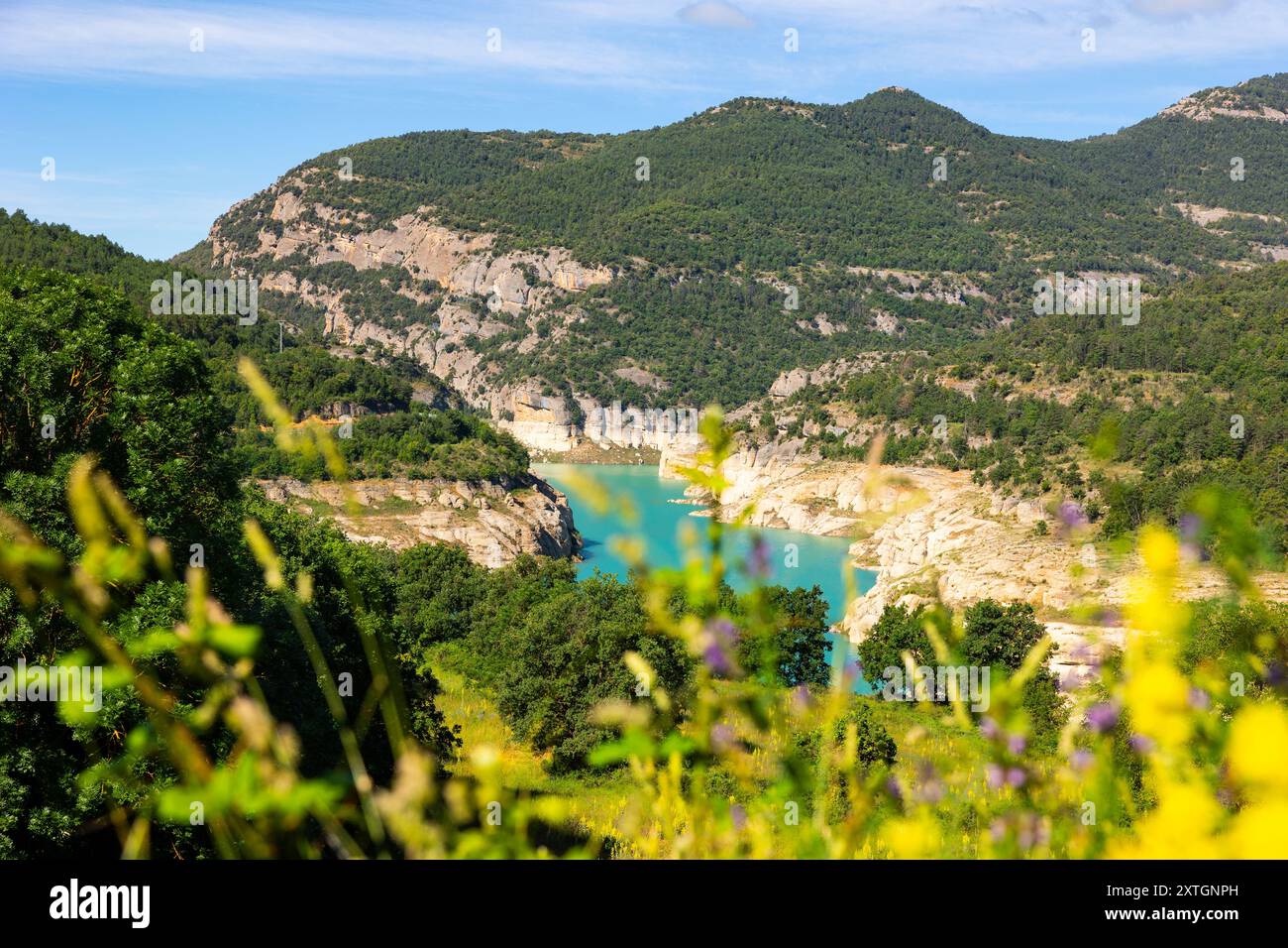 Heller Sommertag am Ufer des Stausees La Llosa de Coval, im Tal des Flusses Llobregat, Fluss Cardener Stockfoto