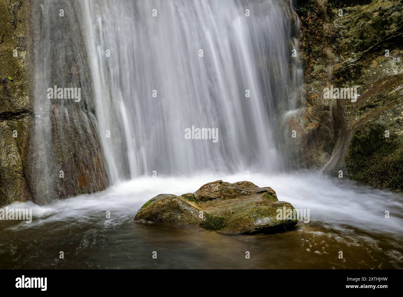 Gorg dels Banyuts Pool, im Montgrony Gebirge, im Frühling (Ripollès, Girona, Katalonien, Spanien, Pyrenäen) ESP: Poza de Gorg dels Banyuts Stockfoto