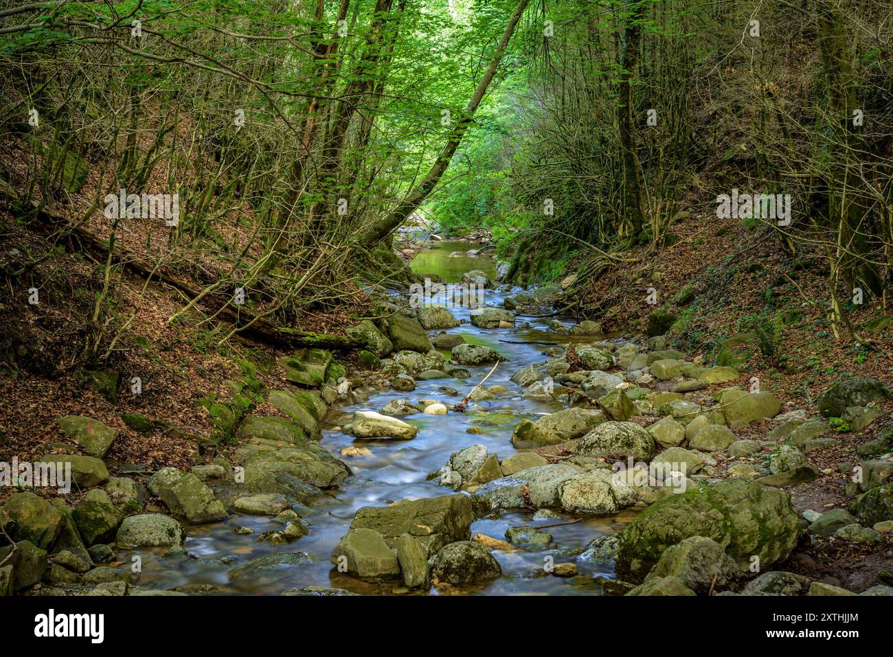 Gorg dels Banyuts Pool, im Montgrony Gebirge, im Frühling (Ripollès, Girona, Katalonien, Spanien, Pyrenäen) ESP: Poza de Gorg dels Banyuts Stockfoto