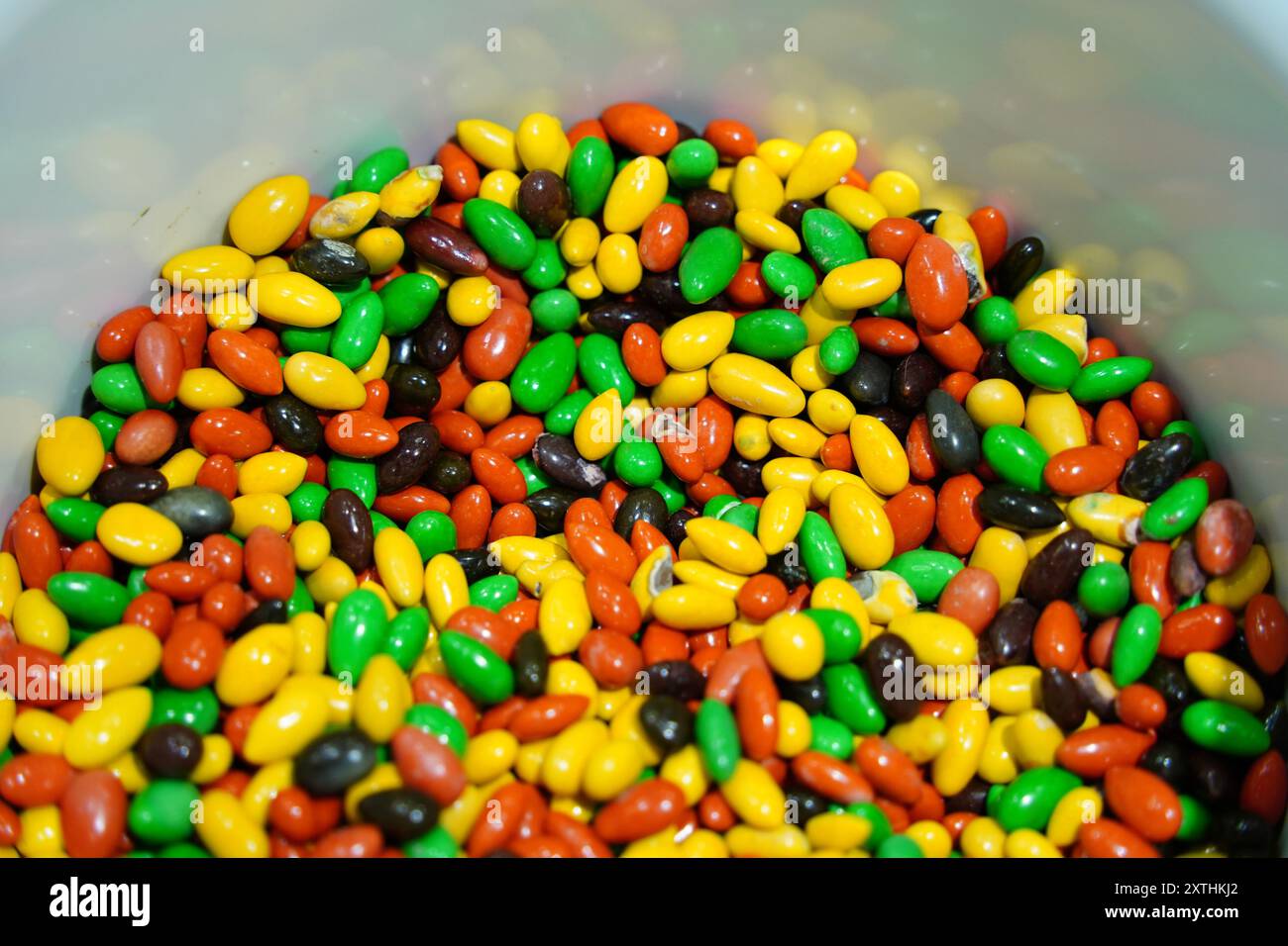 Bunte Sonnenblumenkerne in einer Plastikschale mit Schokolade überzogen Stockfoto