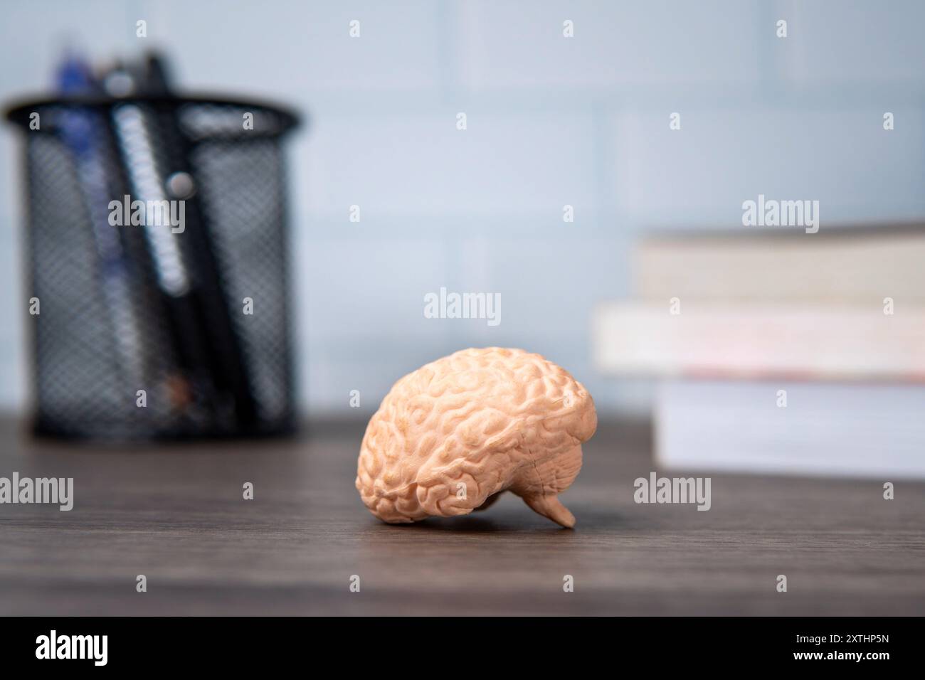 Eine Nahaufnahme eines Hirnmodells auf einem Holztisch mit Stifthalter und einem Stapel Bücher. Lern- und Intellektuelles Konzept. Stockfoto