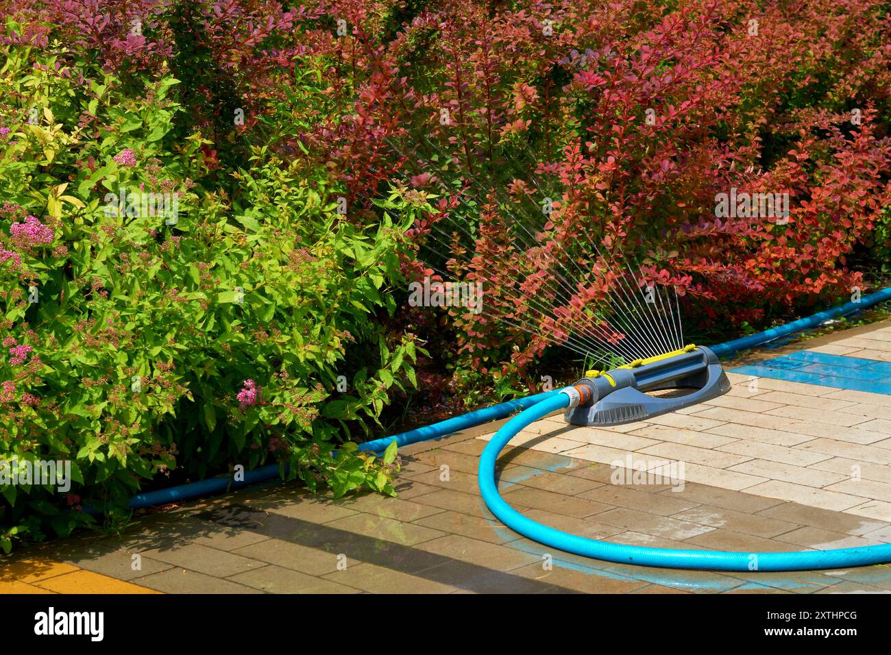 Die Versorgung von Land- oder Kulturpflanzen mit Wasser, um das Wachstum zu fördern, in der Regel über Kanäle. Bewässerungssystem, Stockfoto