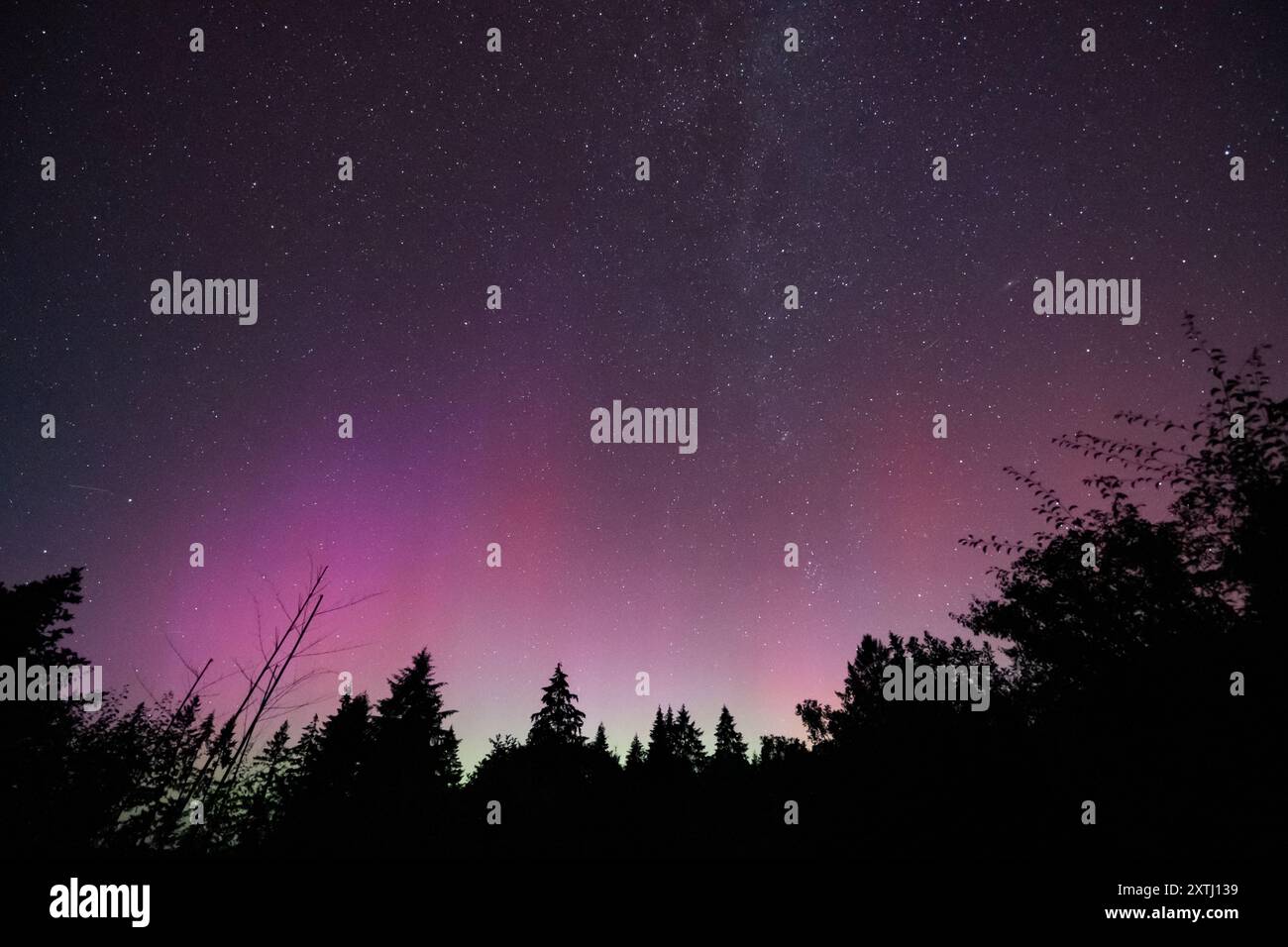 Die Aurora Borealis erleuchtet den Nachthimmel in rosa Tönen. Die Milchstraße ist im Hintergrund. Stockfoto