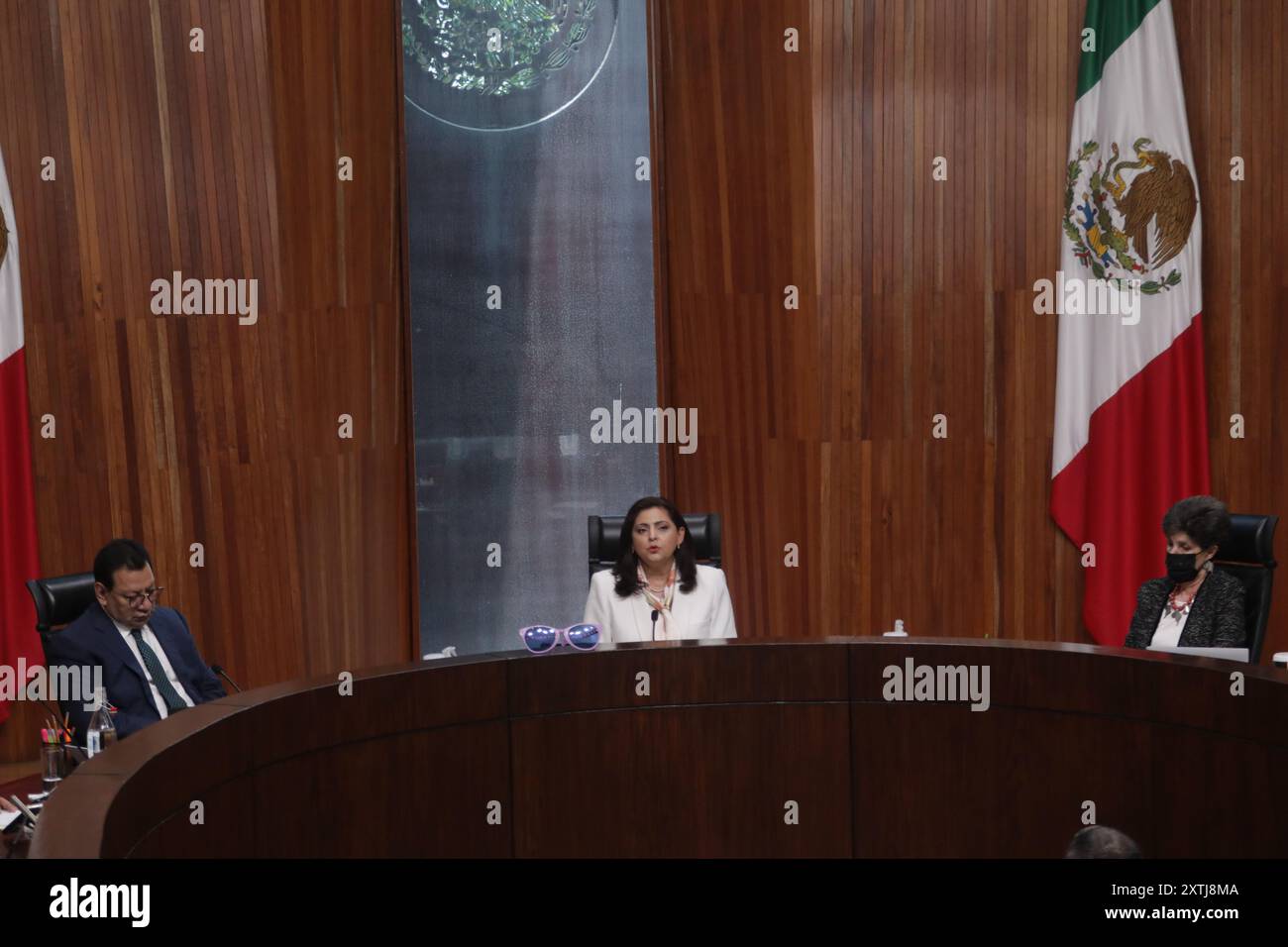 Yuqori sifatli mushuk surati