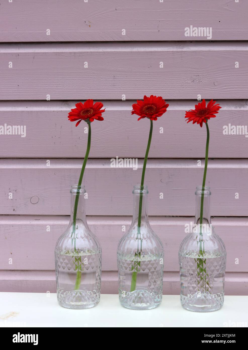 Einfaches Stillleben mit roten Blumen. Drei rote Gerbera-Blüten in einer Glasflasche vor rosa hölzernem Hintergrund mit Kopierraum. Stockfoto