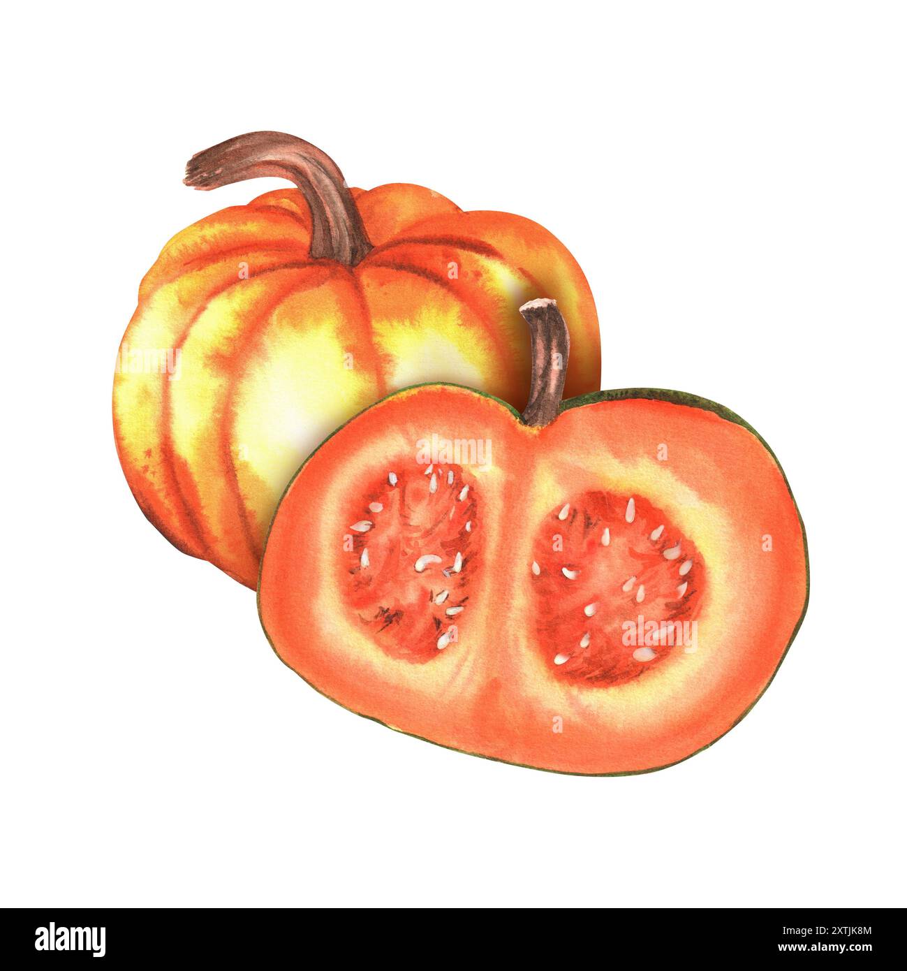 Ein großer, leuchtend orangefarbener Kürbis und halbierter Kürbis mit Samen. Herbstfest der Gemüseernte. Thanksgiving Kürbis. Halloween Clipart. Handgezogenes Wasser Stockfoto
