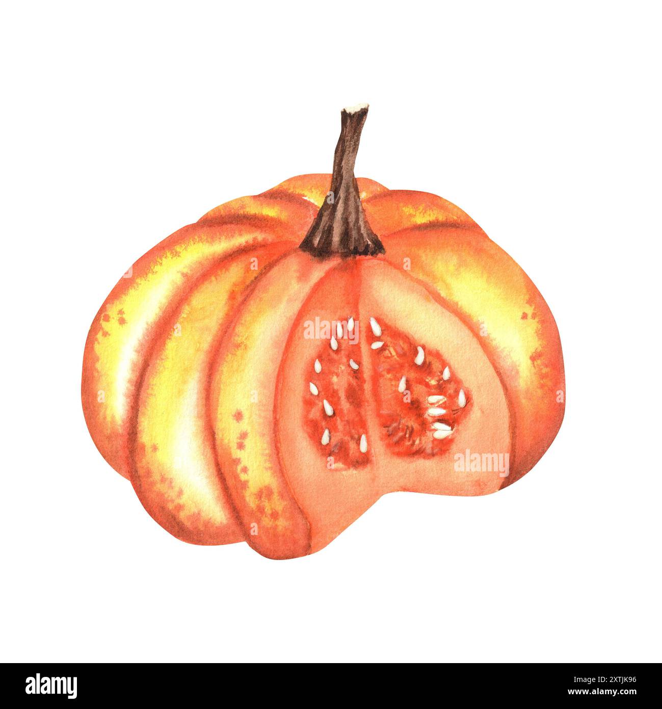 Ein großer, leuchtend orangefarbener und gelber Kürbis mit einem Ausschnitt. Herbstfest der Gemüseernte. Thanksgiving Kürbis. Halloween Clipart. Handgezeichnetes Wasser Stockfoto