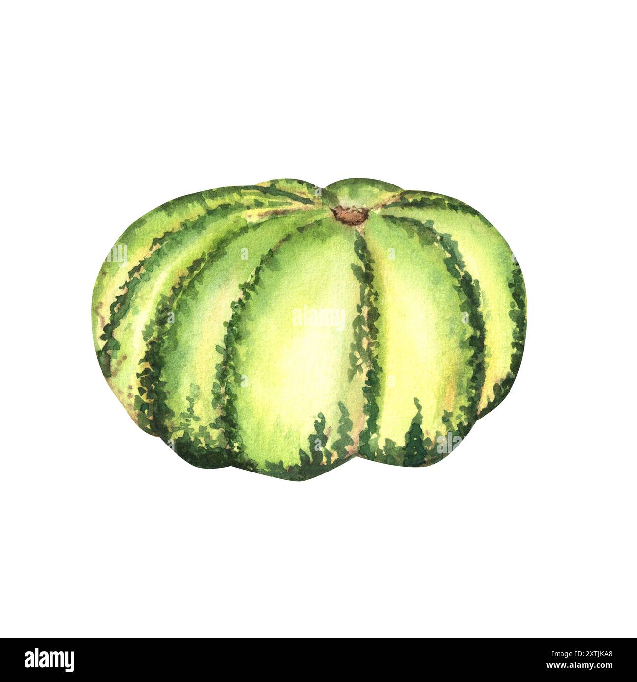 Ein großer grüner Kürbis. Herbstfest der Gemüseernte. Thanksgiving Kürbis. Halloween Clipart. Handgezeichnete Aquarellillustration. Stockfoto