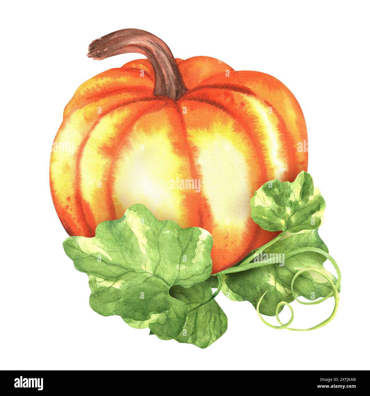 Ein großer, leuchtend orangefarbener Kürbis mit grünen Blättern. Herbstfest der Gemüseernte. Thanksgiving Clipart. Handgezeichnete Aquarellillustration. Stockfoto