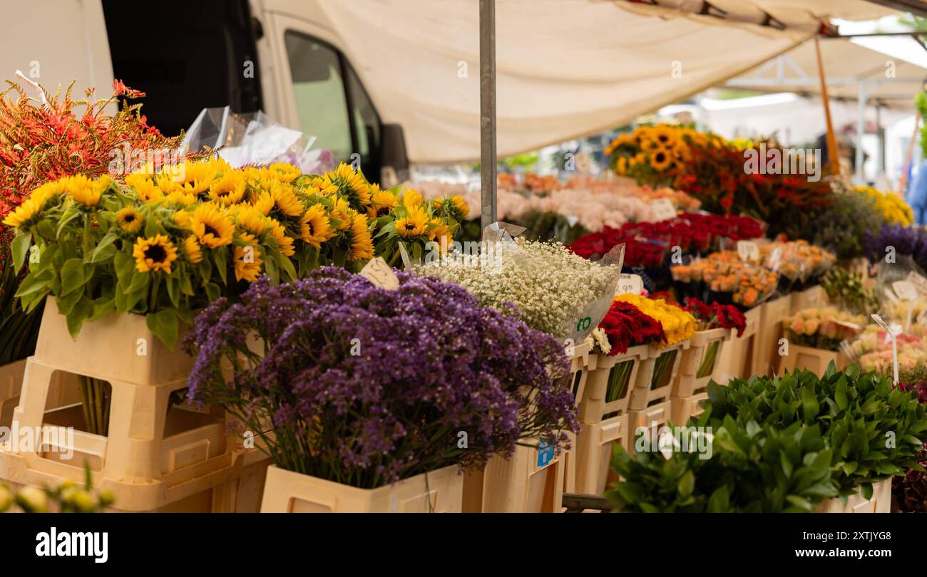 Verschiedenfarbige Blumen in weißen Boxen an einem Marktstand in Rotterdam. Verschiedenfarbige Blumen in weißen Boxen an einem Marktstand in Rotterdam. niederlande rotterdam Weekly Market B97A6408 Stockfoto