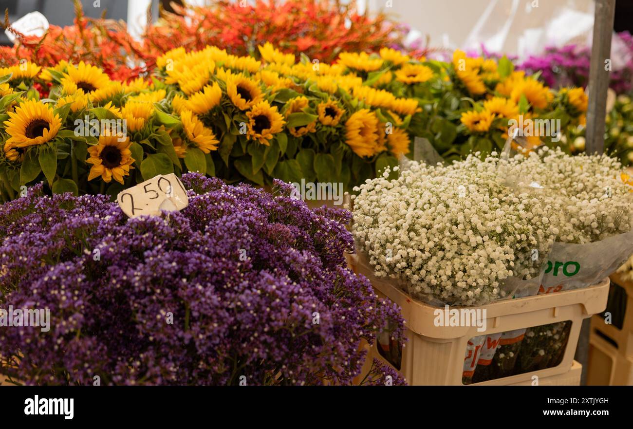 Blumen präsentiert auf dem Markt in Rotterdam. Sonnenblumen und andere verschiedenfarbige Blumen in weißen Kästen an einem Marktstand in Rotterdam. niederlande rotterdam Weekly Market B97A6404 Stockfoto