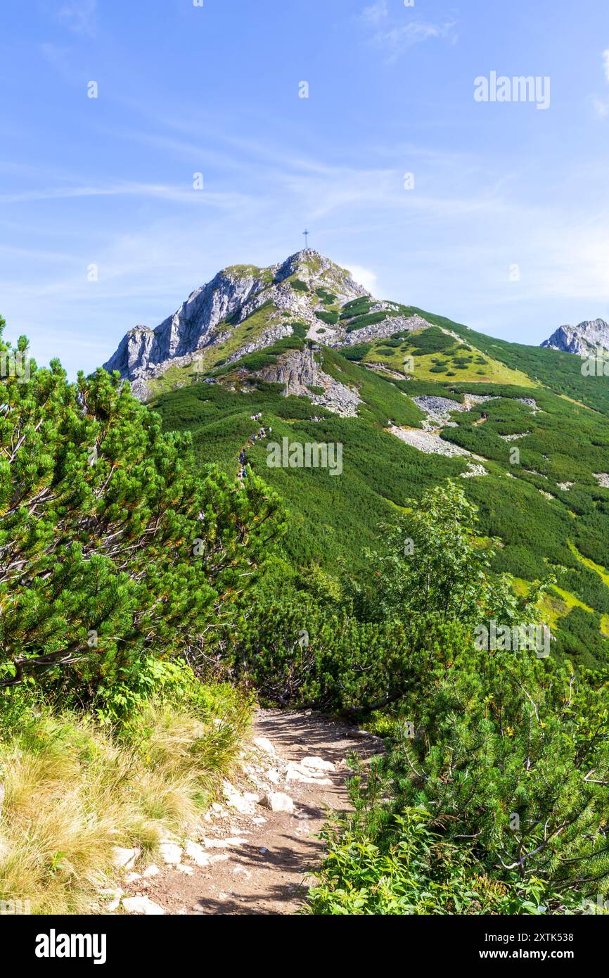 Bergweg nach Giewont in der polnischen Tatra. Stockfoto