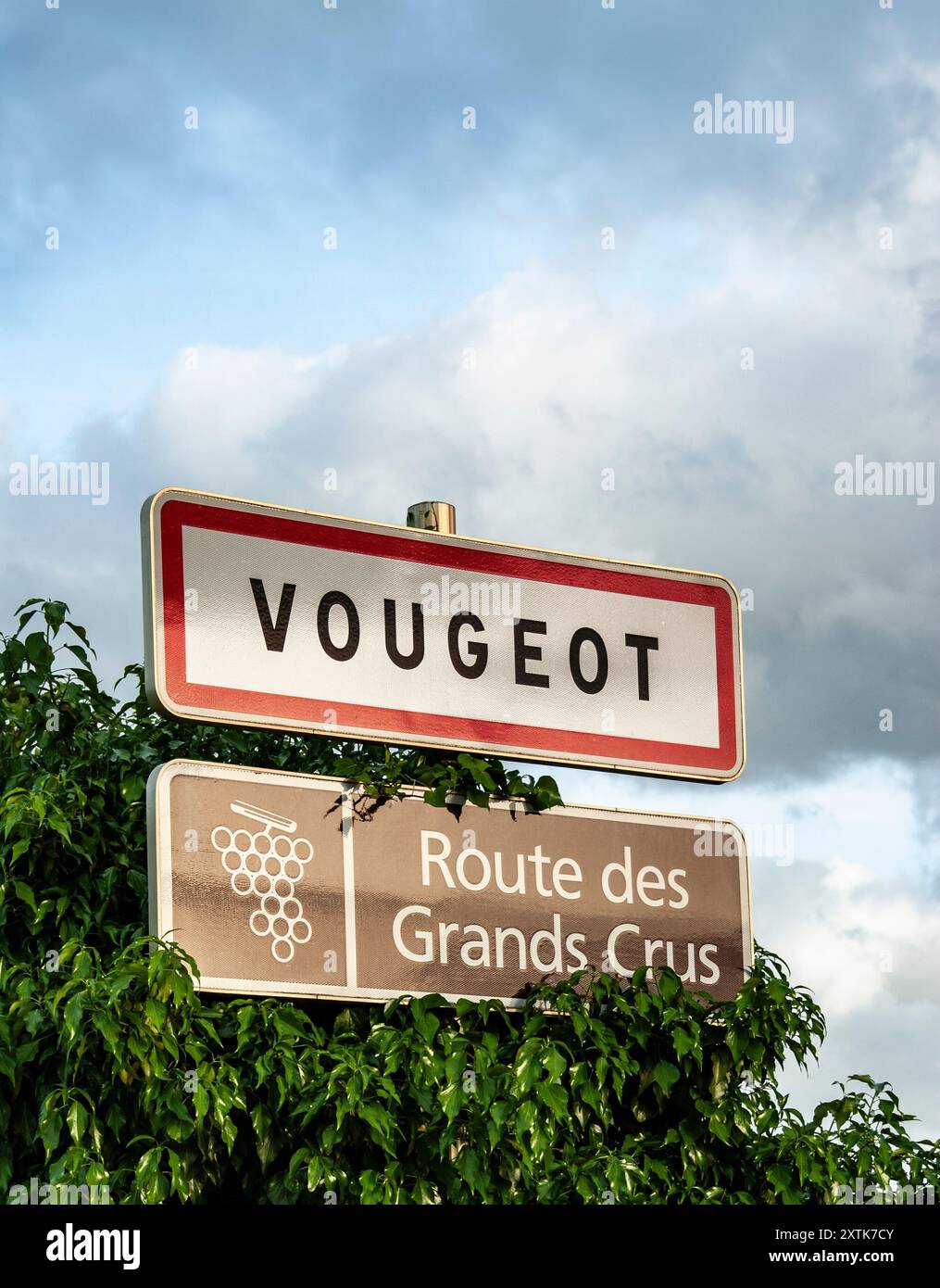 VOUGEOT Route des Grands Crus Straßenschild in der späten schimmernden Nachmittagssonne Vougeot Burgund Frankreich Stockfoto