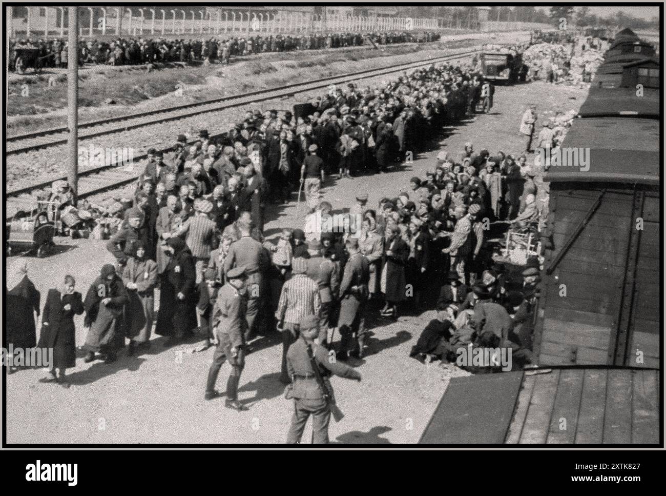 AUSCHWITZ ANKUNFT LEBEN ODER TOD AUSWAHL Juden aus Unterkarpaten Rus unterziehen sich einer Auswahl auf der Rampe in Auschwitz-Birkenau. Mai 1944 Auschwitz, [Oberschlesien] Polen Stockfoto