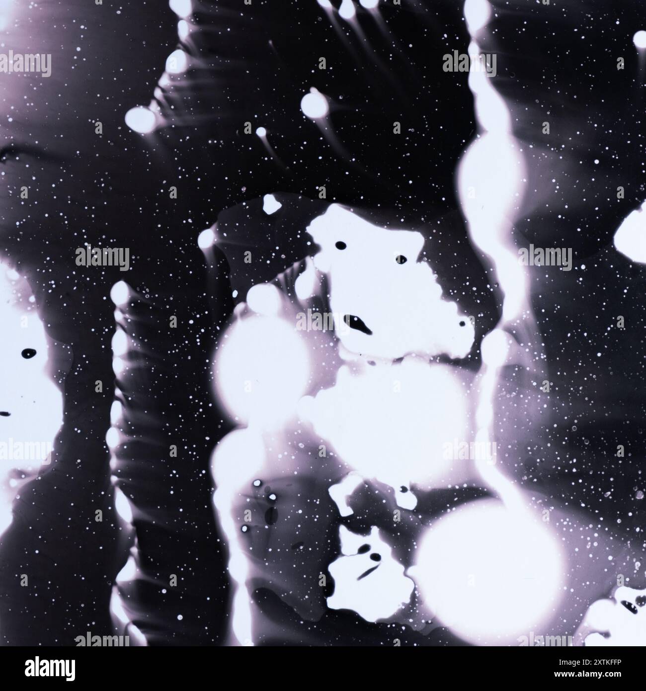 Surrealistisches Kunstchemigramm, das die Darstellung des Bewusstseins erforscht, das im Raum existiert. Konzeptionelles, abstraktes, quadratisches Format. Stockfoto