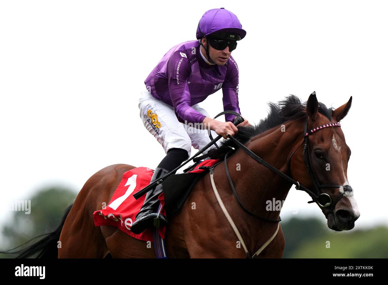 Charles Bishop gewinnt das Tote Placepot Leg 2 Racing League Race 23 Handicap während der Racing League auf der Royal Windsor Racecourse in Windsor. Bilddatum: Donnerstag, 15. August 2024. Stockfoto