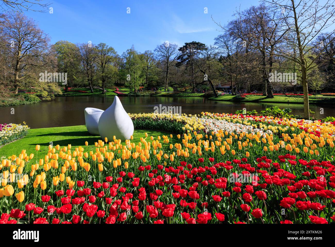 Blühende Tulpen Blumenbeet im Keukenhof-Blumengarten, auch bekannt als der Garten Europas, einer der weltweit größten Blumengärten und beliebter Tourist Stockfoto