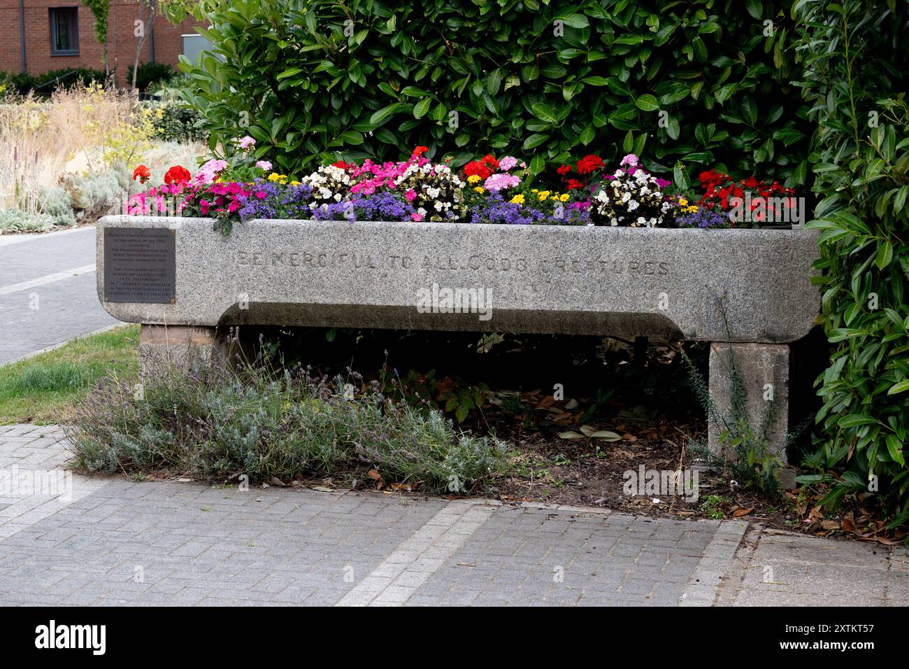 Pferdetrog mit Sommerblumen bepflanzt, Stratford-upon-Avon, Warwickshire, England, Großbritannien Stockfoto