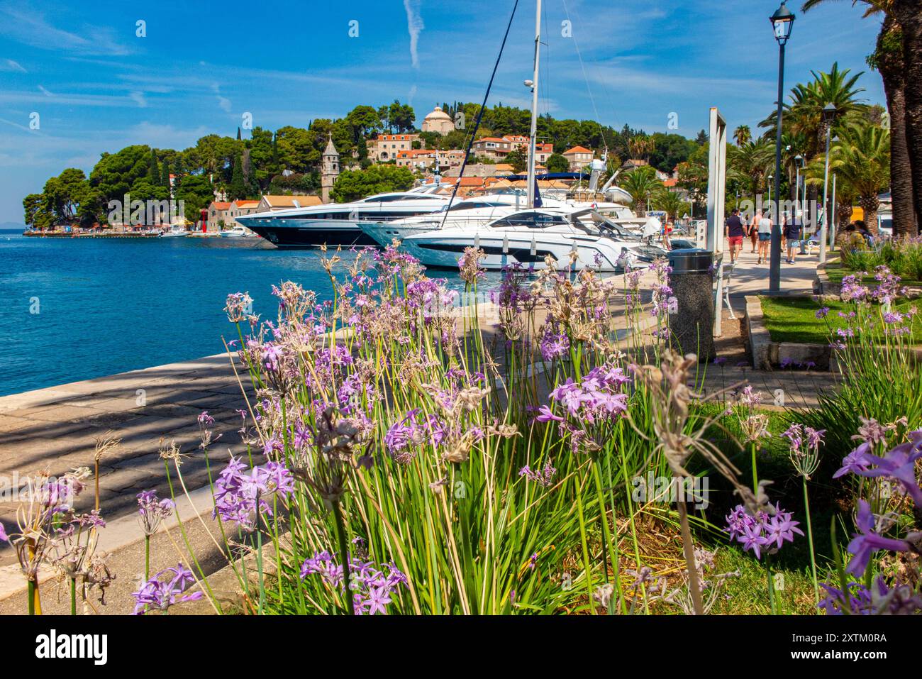 Die hübsche Stadt Cavtat in Südkroatien Stockfoto