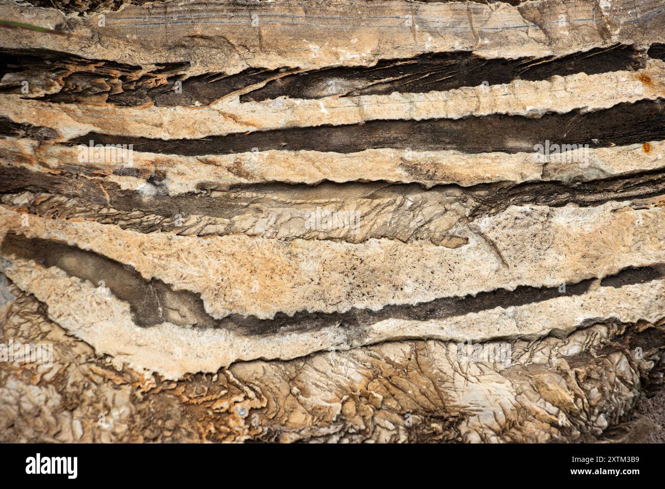 Stark metamorphosierte und gebänderte Gesteine in der Kontaktzone zwischen Graniten und metamorphen Quarziten in der Ruaha-Region. Dies ist ein Kontaktbereich Stockfoto