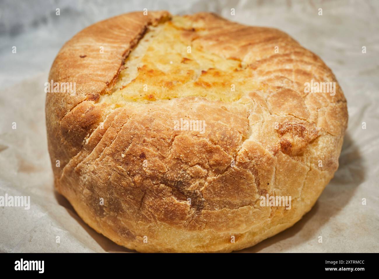 Ein Kartoffelknish aus Knish Nosh in Rego Park, Queens, New York, USA Stockfoto