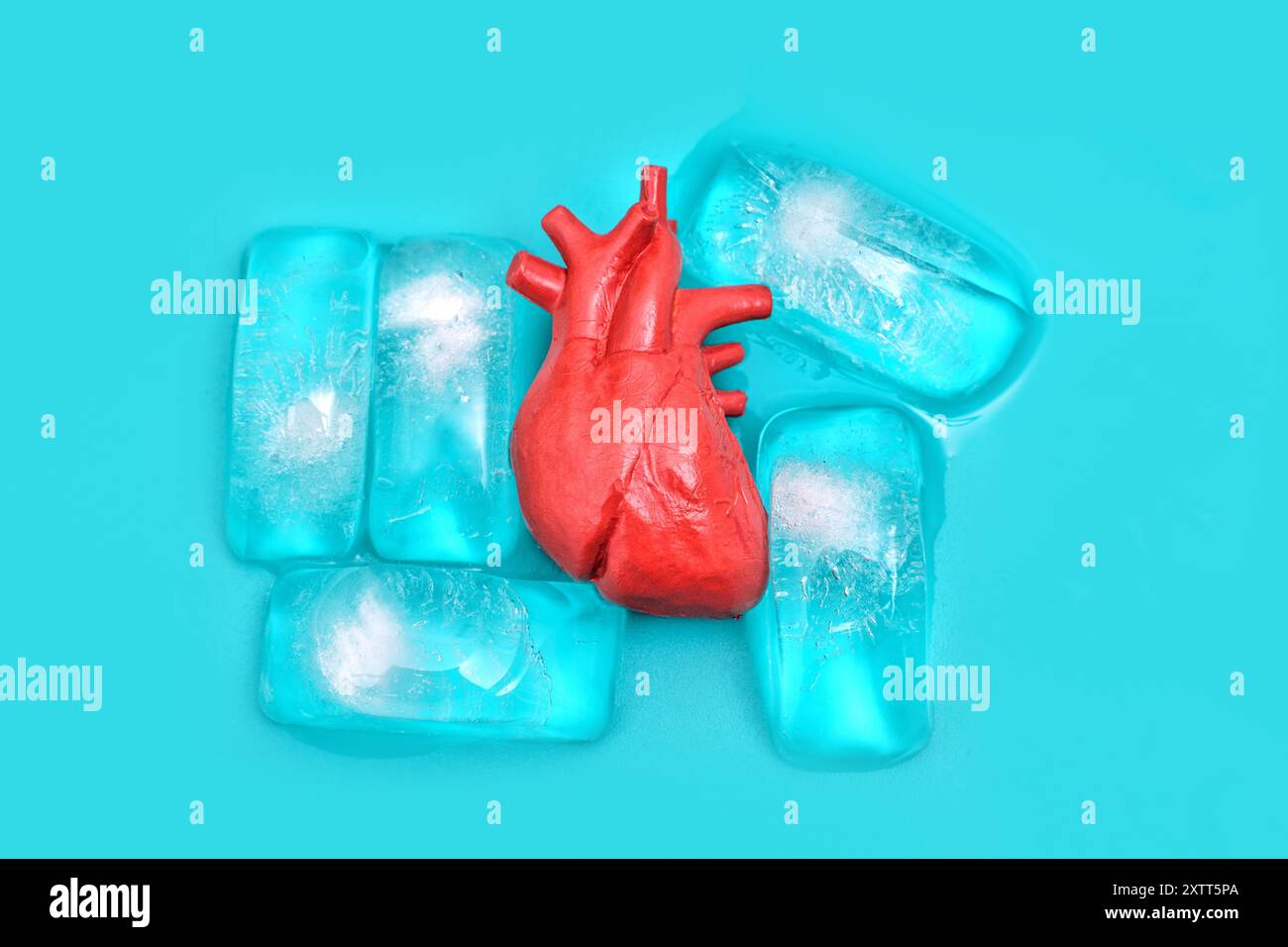 Das Modell des menschlichen Herzens befindet sich zwischen blauen Eiswürfeln und zeigt eine kreative Darstellung von Leben und Erhaltung vor einem hellen türkisfarbenen Hintergrund. Stockfoto