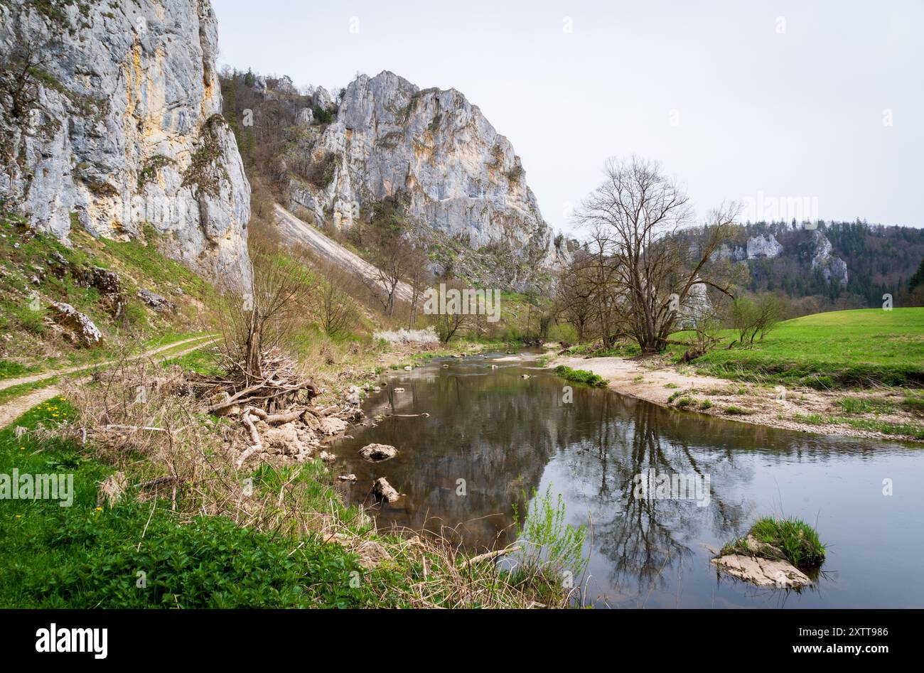 Stiegelesfels-Oberes Donautal, Landkreis Tuttlingen, Baden-Württemberg, Deutschland Stockfoto