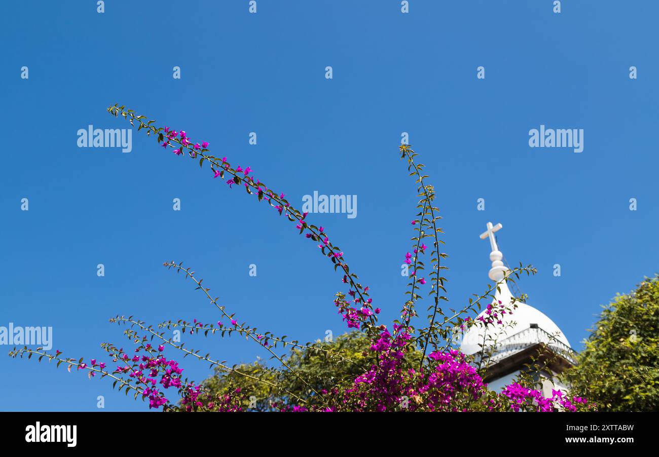 Hübsche Blumen unter einem hellblauen Himmel und dem Turm der Kirche St. Maria der Großen in Funchal, Madeira. Stockfoto