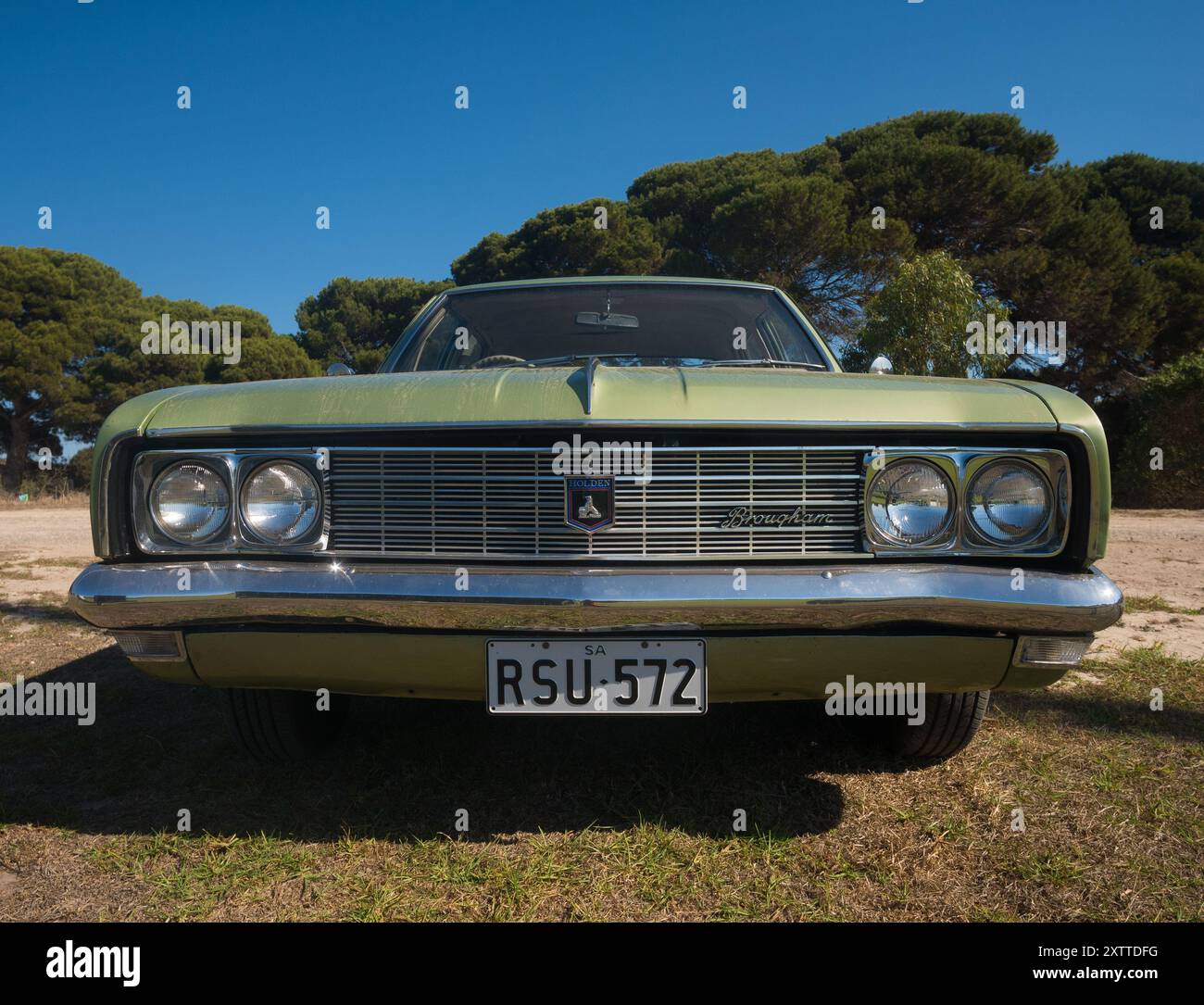 Vorderansicht eines grünen Holden Brougham Oldtimer, der auf Gras mit Bäumen im Hintergrund in South Australia, Australien, geparkt ist. Stockfoto
