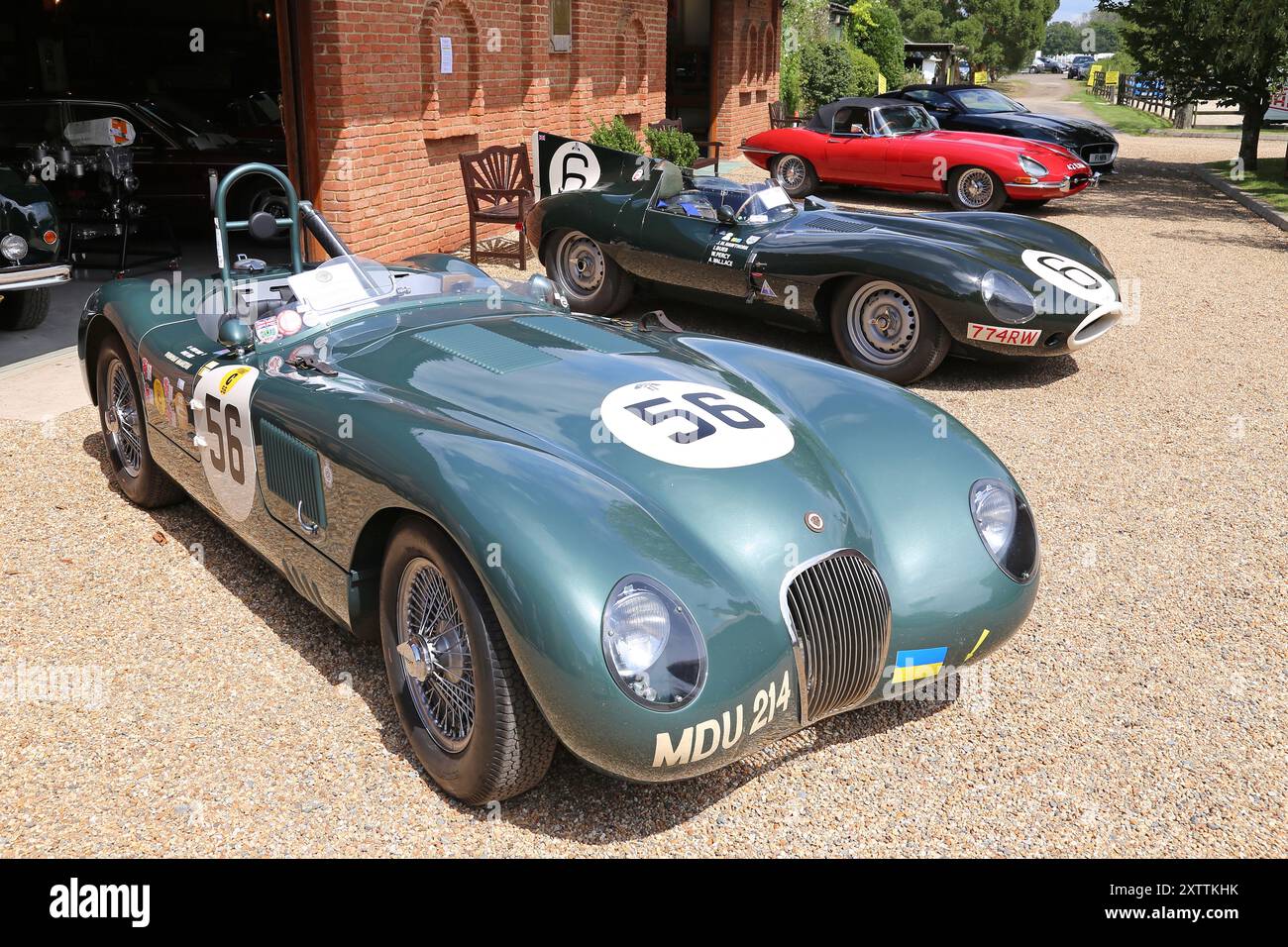 Jaguar C-Type (XKC 004, 1952), D-Type, E-TYPE und F-Type Beyond, Mike Hawthorm Museum (Privatsammlung), England, Großbritannien, Europa Stockfoto