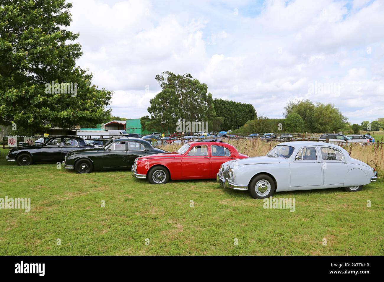 Jaguar Mk1 Saloons aus den 1950er Jahren, Mike Hawthorm Museum (Privatsammlung), England, Großbritannien, Großbritannien, Europa Stockfoto