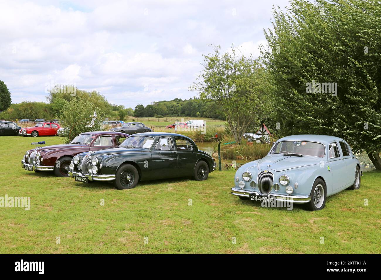 Jaguar Mk1 Saloons aus den 1950er Jahren, Mike Hawthorm Museum (Privatsammlung), England, Großbritannien, Großbritannien, Europa Stockfoto