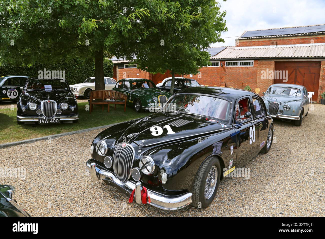 Jaguar Mk1 Saloons aus den 1950er Jahren, Mike Hawthorm Museum (Privatsammlung), England, Großbritannien, Großbritannien, Europa Stockfoto