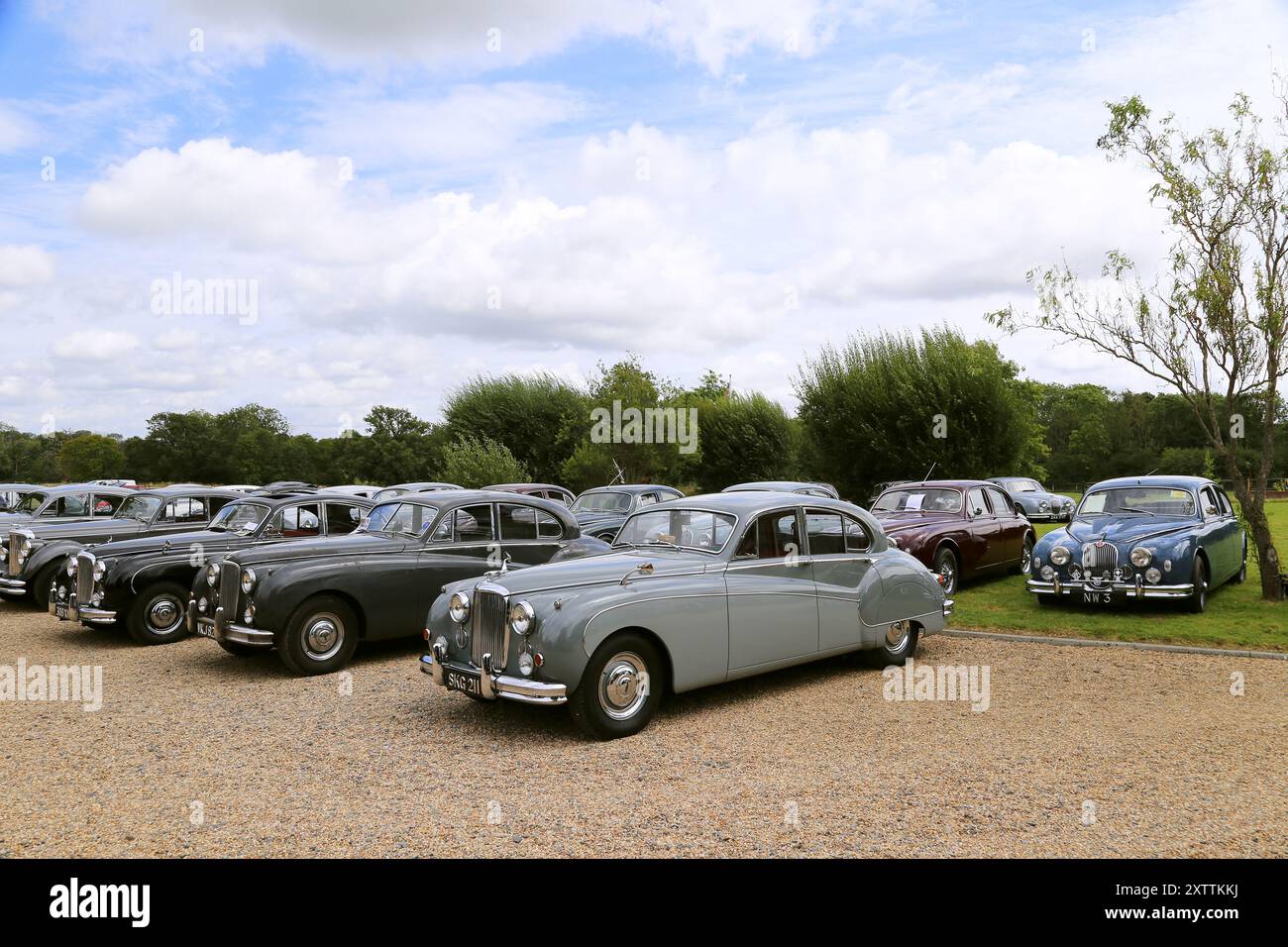 Jaguar Saloons aus den 1950er Jahren, Mike Hawthorm Museum (Privatsammlung), England, Großbritannien, Großbritannien, Europa Stockfoto